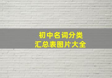 初中名词分类汇总表图片大全