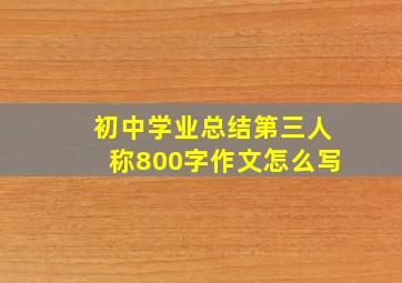 初中学业总结第三人称800字作文怎么写