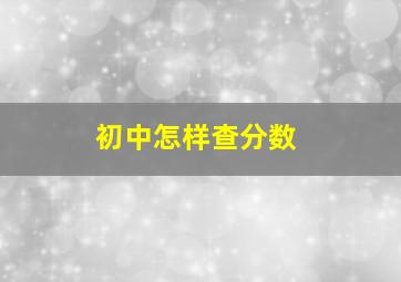 初中怎样查分数