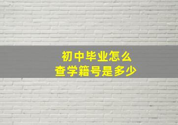 初中毕业怎么查学籍号是多少