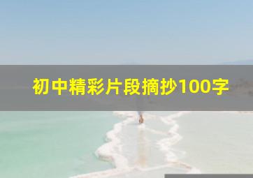 初中精彩片段摘抄100字