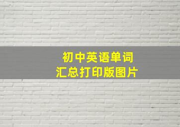 初中英语单词汇总打印版图片