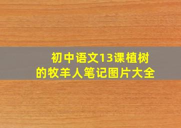 初中语文13课植树的牧羊人笔记图片大全