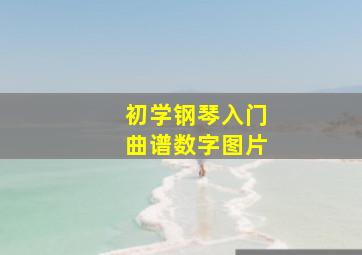 初学钢琴入门曲谱数字图片