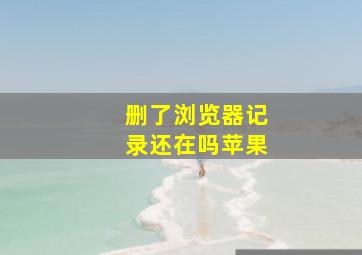 删了浏览器记录还在吗苹果