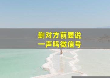 删对方前要说一声吗微信号