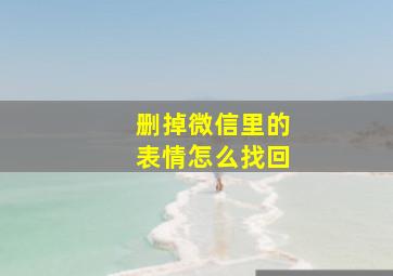 删掉微信里的表情怎么找回