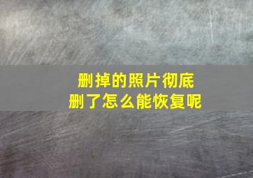 删掉的照片彻底删了怎么能恢复呢