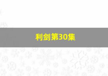 利剑第30集