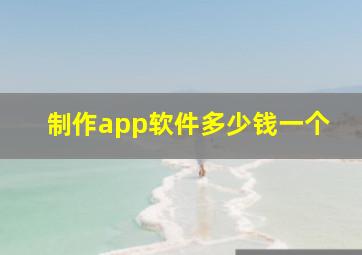 制作app软件多少钱一个