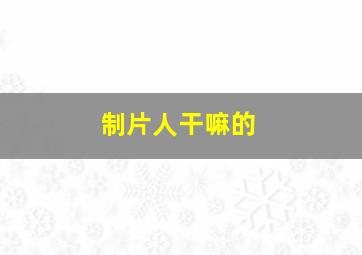 制片人干嘛的