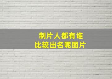 制片人都有谁比较出名呢图片