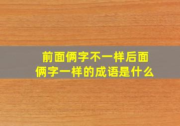 前面俩字不一样后面俩字一样的成语是什么