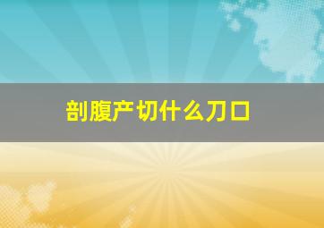 剖腹产切什么刀口