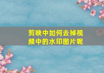 剪映中如何去掉视频中的水印图片呢