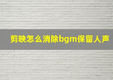 剪映怎么消除bgm保留人声