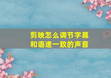 剪映怎么调节字幕和语速一致的声音