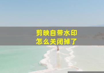 剪映自带水印怎么关闭掉了