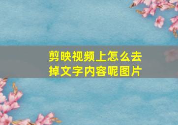 剪映视频上怎么去掉文字内容呢图片