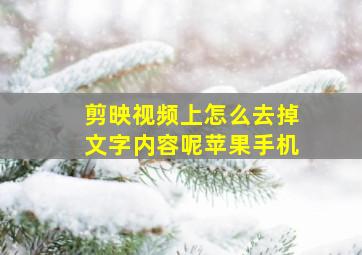 剪映视频上怎么去掉文字内容呢苹果手机