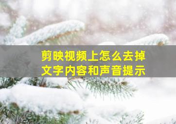 剪映视频上怎么去掉文字内容和声音提示