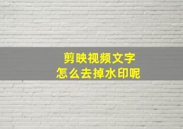 剪映视频文字怎么去掉水印呢