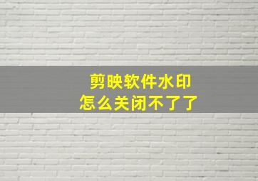 剪映软件水印怎么关闭不了了