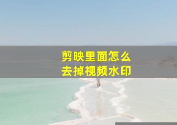 剪映里面怎么去掉视频水印