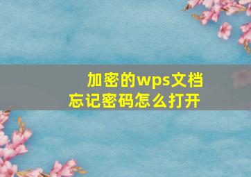 加密的wps文档忘记密码怎么打开