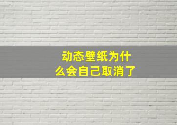 动态壁纸为什么会自己取消了