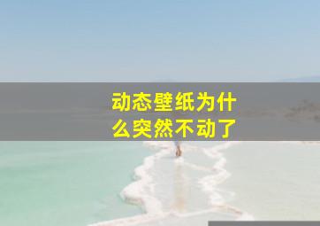 动态壁纸为什么突然不动了