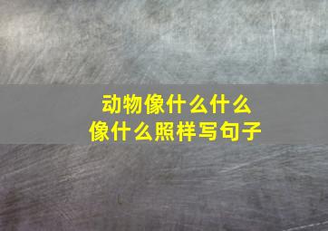 动物像什么什么像什么照样写句子