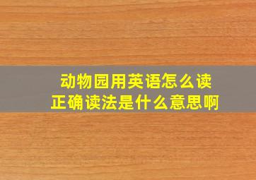 动物园用英语怎么读正确读法是什么意思啊