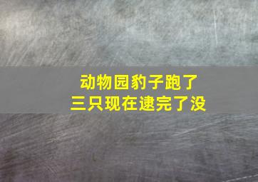 动物园豹子跑了三只现在逮完了没