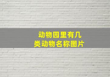 动物园里有几类动物名称图片