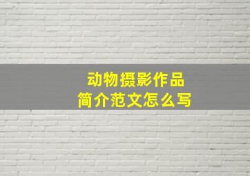 动物摄影作品简介范文怎么写