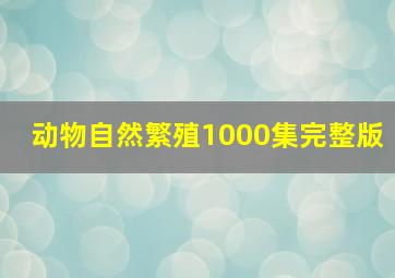 动物自然繁殖1000集完整版