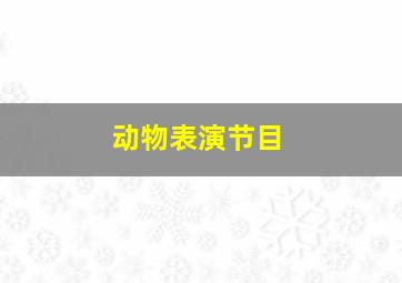 动物表演节目