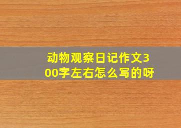 动物观察日记作文300字左右怎么写的呀