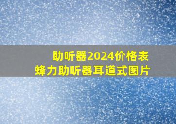 助听器2024价格表蜂力助听器耳道式图片