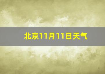 北京11月11日天气