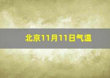 北京11月11日气温