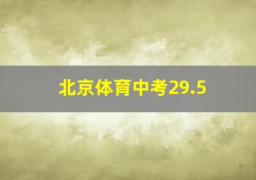 北京体育中考29.5