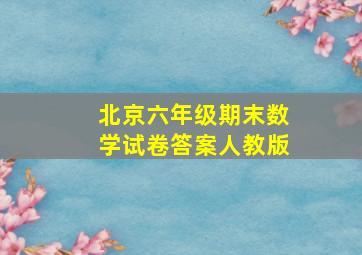 北京六年级期末数学试卷答案人教版