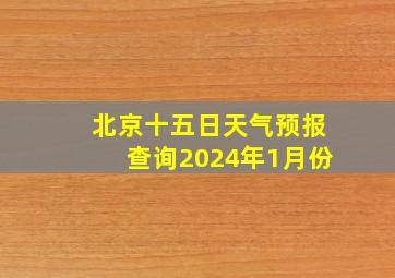 北京十五日天气预报查询2024年1月份