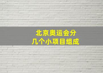 北京奥运会分几个小项目组成