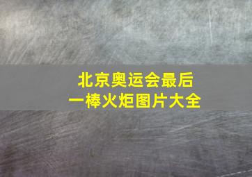 北京奥运会最后一棒火炬图片大全