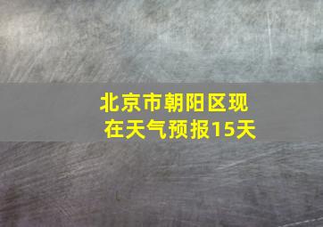 北京市朝阳区现在天气预报15天