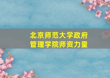 北京师范大学政府管理学院师资力量