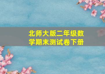 北师大版二年级数学期末测试卷下册